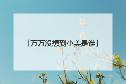 万万没想到小美是谁