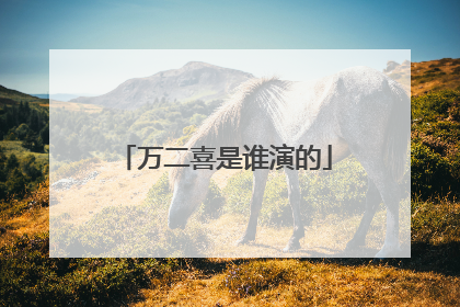 万二喜是谁演的