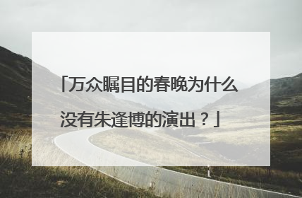 万众瞩目的春晚为什么没有朱逢博的演出?