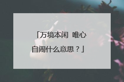 万境本闲 唯心自闹什么意思?