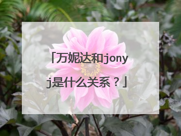 万妮达和jony j是什么关系？