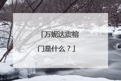 万妮达震榕门是什么？
