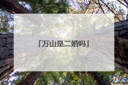 万山是二婚吗