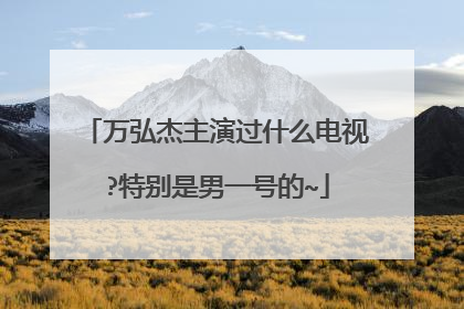 万弘杰主演过什么电视?特别是男一号的~