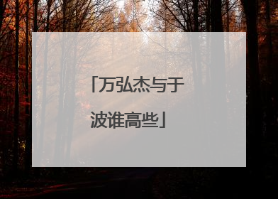 万弘杰与于波谁高些