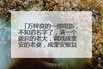 万梓良的一部电影，不知道名字了，演一个跋扈的老大，调戏成奎安的老婆，成奎安报复反被万梓良杀死，