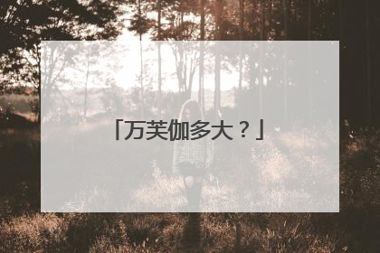 万芙伽多大？
