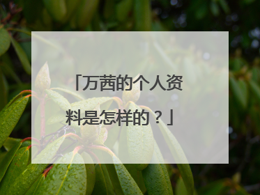 万茜的个人资料是怎样的?