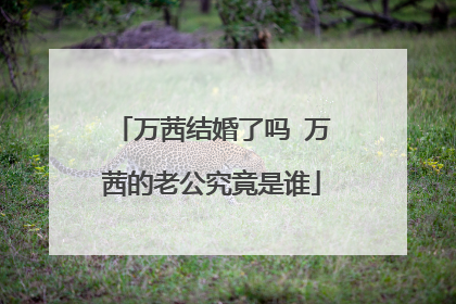 万茜结婚了吗 万茜的老公究竟是谁