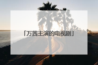 万茜主演的电视剧