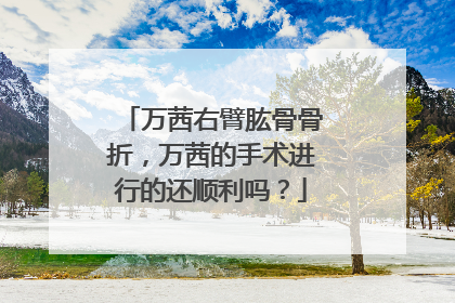 万茜右臂肱骨骨折，万茜的手术进行的还顺利吗？