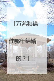 万茜和徐佳哪年结婚的？