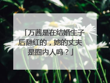万茜是在结婚生子后翻红的，她的丈夫是圈内人吗？