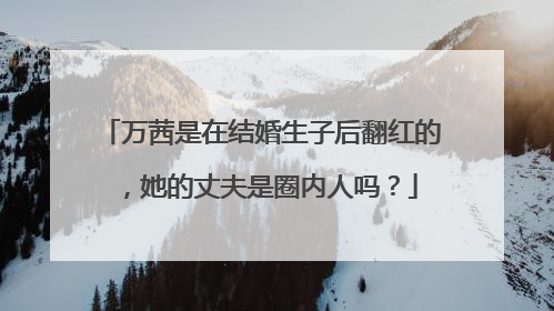 万茜是在结婚生子后翻红的，她的丈夫是圈内人吗？