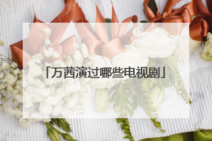 万茜演过哪些电视剧