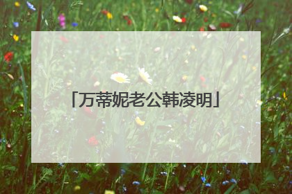 万蒂妮老公韩凌明