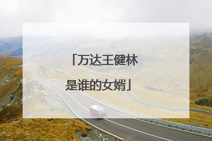 万达王健林是谁的女婿