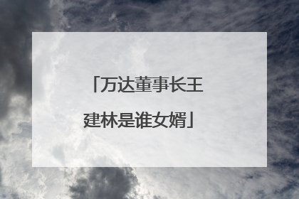 万达董事长王建林是谁女婿