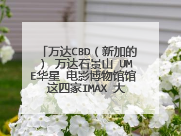 万达CBD(新加的) 万达石景山 UME华星 电影博物馆馆 这四家IMAX 大小 面积分别为多少 哪家的最好