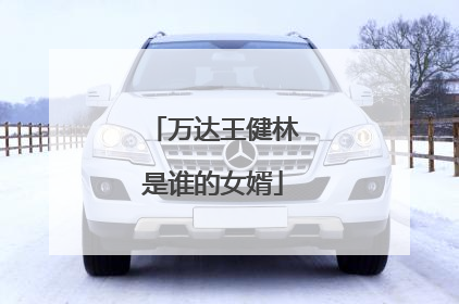 万达王健林是谁的女婿