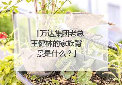 万达集团老总王健林的家族背景是什么？
