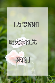 万贵妃和明宪宗谁先死的