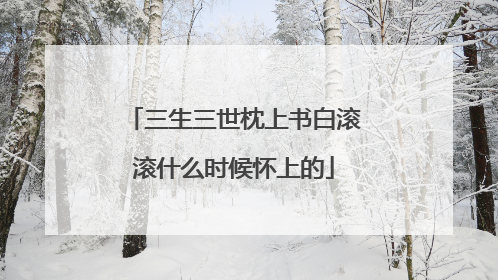 三生三世枕上书白滚滚什么时候怀上的
