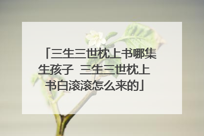 三生三世枕上书哪集生孩子 三生三世枕上书白滚滚怎么来的