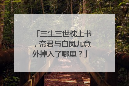 三生三世枕上书,帝君与白凤九意外掉入了哪里?