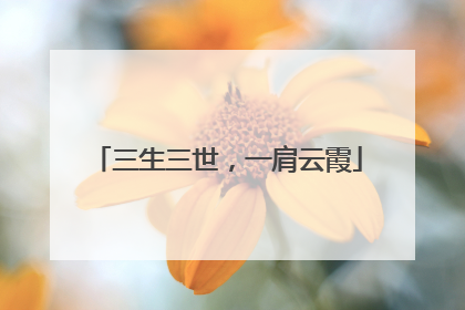 三生三世,一肩云霞