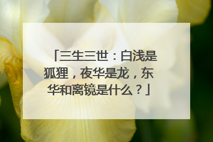三生三世:白浅是狐狸,夜华是龙,东华和离镜是什么?