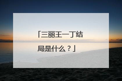三丽王一丁结局是什么?