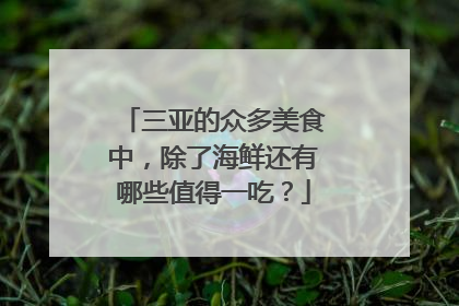 三亚的众多美食中，除了海鲜还有哪些值得一吃？
