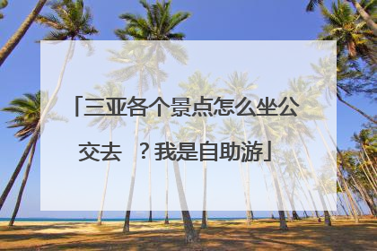 三亚各个景点怎么坐公交去 ？我是自助游