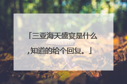 三亚海天盛宴是什么,知道的给个回复。