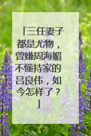 三任妻子都是尤物,曾嫌周海媚不懂持家的吕良伟,如今怎样了?