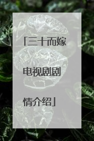 三十而嫁 电视剧剧情介绍