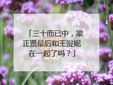 三十而已中，梁正贤最后和王漫妮在一起了吗？