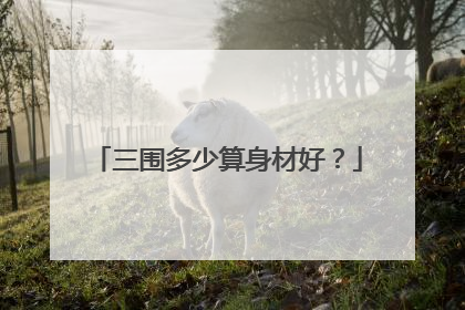 三围多少算身材好？