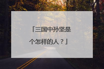 三国中孙坚是个怎样的人？