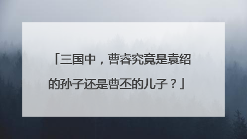 三国中,曹睿究竟是袁绍的孙子还是曹丕的儿子?