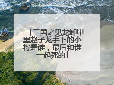三国之见龙卸甲里赵子龙手下的小将是谁，最后和谁一起死的