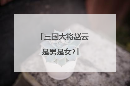 三国大将赵云是男是女?