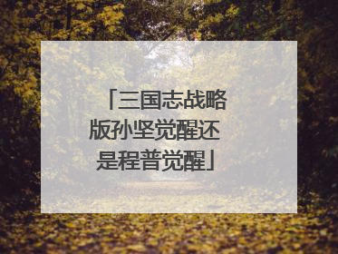 三国志战略版孙坚觉醒还是程普觉醒