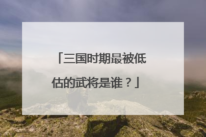 三国时期最被低估的武将是谁？