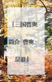 三国曹爽简介 曹爽是谁