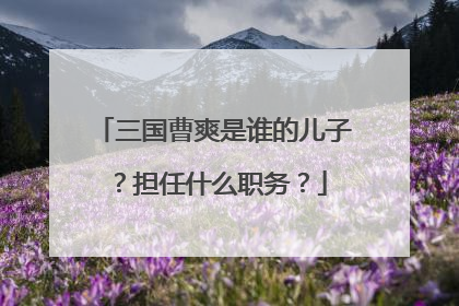 三国曹爽是谁的儿子？担任什么职务？