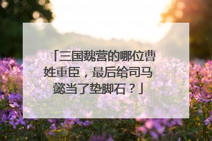 三国魏营的哪位曹姓重臣,最后给司马懿当了垫脚石?