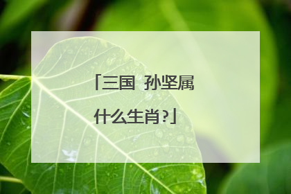 三国 孙坚属什么生肖?