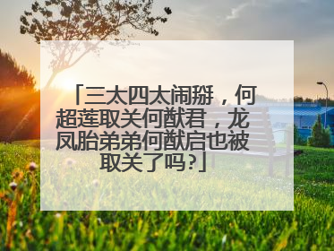 三太四太闹掰,何超莲取关何猷君,龙凤胎弟弟何猷启也被取关了吗?
